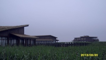 SAM_3951.JPG