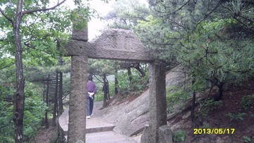 SAM_3545.JPG