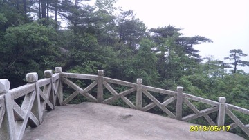 SAM_3556.JPG