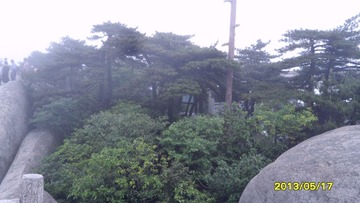 SAM_3638.JPG