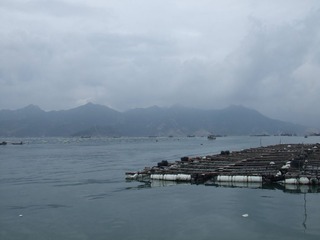 DSCF4156.jpg
