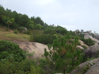 DSCF4175.jpg