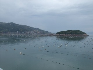 DSCF4183.jpg