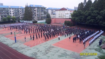 SAM_4355