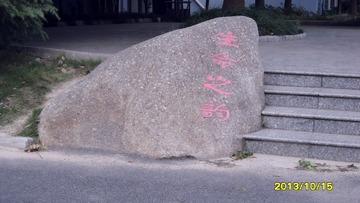 SAM_4385