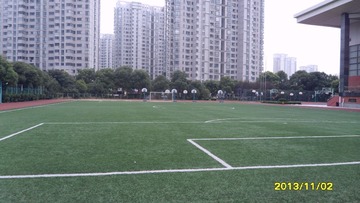 SAM_4429