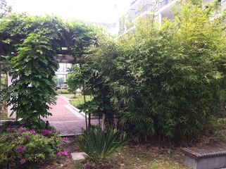 Photo_20140422122613GAVP