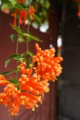 CC4DA2A8-C0CB-46CD-A98A-C7DBDE124954/L0/001