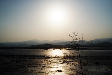 56BBDBFB-B9ED-4A25-AF06-D62ABE22458B/L0/001