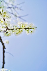 F193F478-AFF9-4474-BF56-8552EF2CCFFF/L0/001