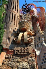 IMG_6081.JPG