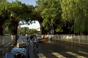 雨后清晨-2