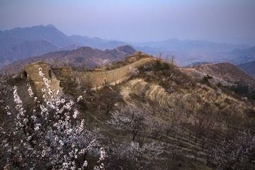 278C0081.jpg