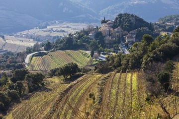 IMG_3998-2
