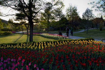 北京植物园