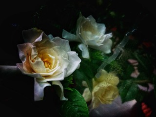 F3C137C0-D5BF-4341-8F4D-E44B811C0036/L0/001