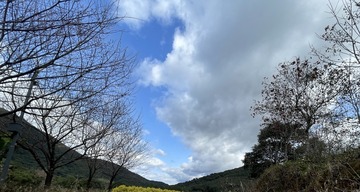 2730BA8C-15C7-4E8E-88C3-D73F1A5CC83E/L0/001