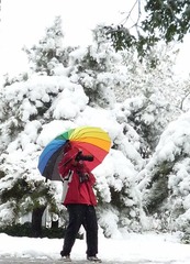 雪中拍摄