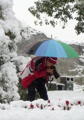 雪中拍摄2