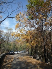 大觉寺山景
