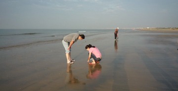 海边拾贝