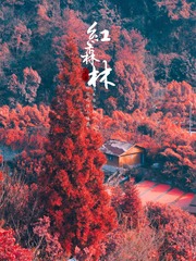 E8F79644-E9A8-47EB-B2B3-E55C98F65BD5/L0/001