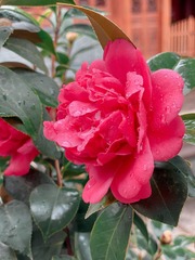 C05D7242-9AB2-4FF6-A299-201A8BB11E81/L0/001
