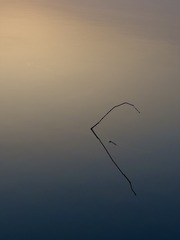 26E07C55-1CE3-4B2F-86C7-B9AA715C9C8C/L0/001