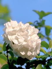 5BE790F4-335F-434C-922F-41D443CE9BD1/L0/001