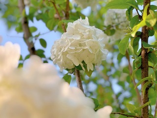 46B67542-0A4C-432A-B862-D3AEF6D85635/L0/001
