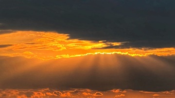 20F88312-1D51-49A0-9895-611EA7825FA3/L0/001