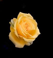 83ADDCA1-4336-4DF8-85CC-DBB97503869B/L0/001