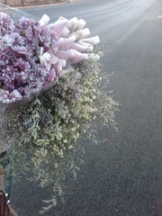 IMG00882-20111217-1749.jpg