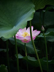 001