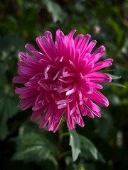 D56CC4B5-0118-44B0-82A3-6238A57E12A2/L0/001