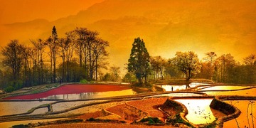 A6829003-7D3E-4151-A5AC-0CBCC1803C5B/L0/001