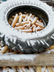 30794