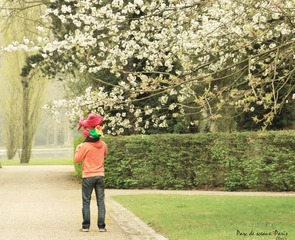 樱花公园 Parc de sceaux