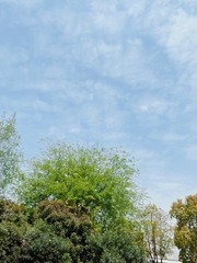 EB32D018-90EA-40D0-8415-D23A36B08898/L0/001