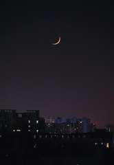 03631159-5D4A-4733-9CF4-1A6964B4D80A/L0/001