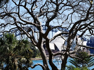 DSC02915.JPG