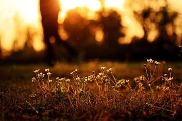 IMG_8478.JPG
