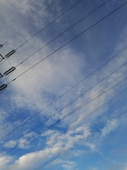 1031942