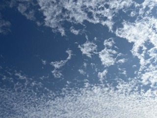 E7505A5E-964C-4CE8-868E-B18986406C0C/L0/001