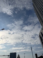 8FF07995-DF0B-47C8-BD05-815D582D0E59/L0/001