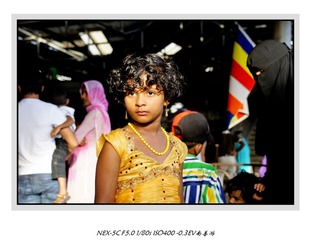DSC06487-2.jpg