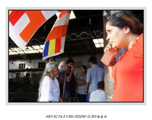 DSC06423-2.jpg