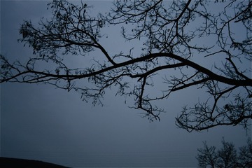 04631922-0B65-45CE-98D7-D6B43CF3496D/L0/001