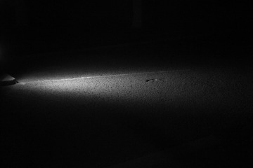 79991D04-B974-4F09-A03E-A2BCE7585926/L0/001