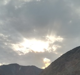 6864187